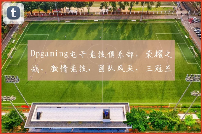 Dpgaming电子竞技俱乐部，荣耀之战，激情竞技，团队风采，三冠王荣耀