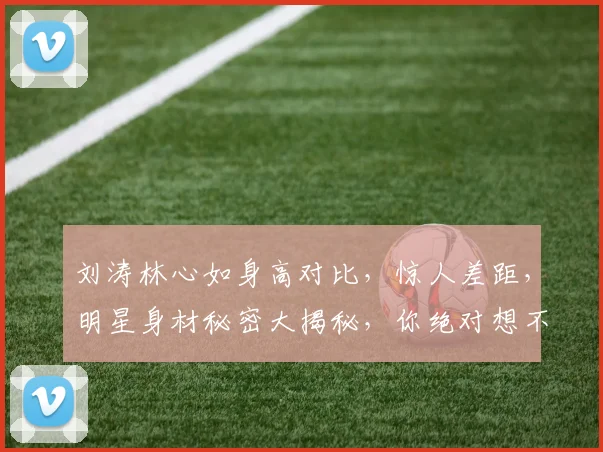 刘涛林心如身高对比，惊人差距，明星身材秘密大揭秘，你绝对想不到
