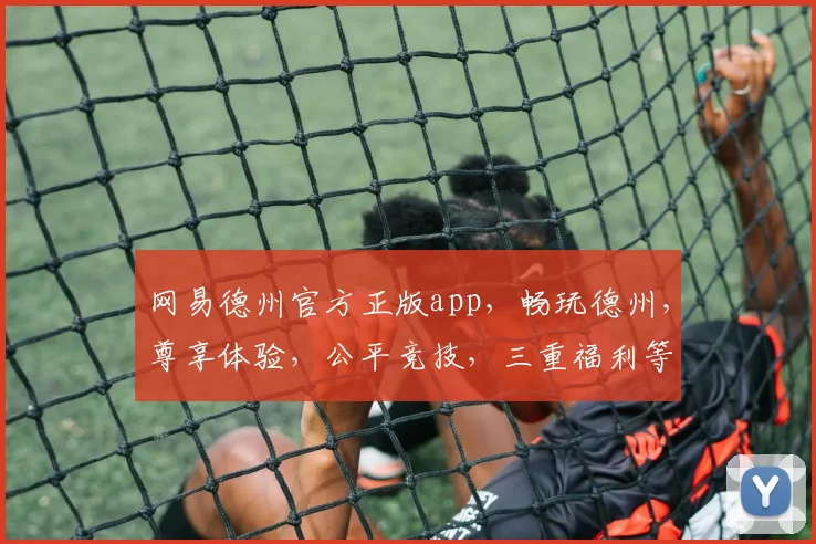 网易德州官方正版app，畅玩德州，尊享体验，公平竞技，三重福利等你来