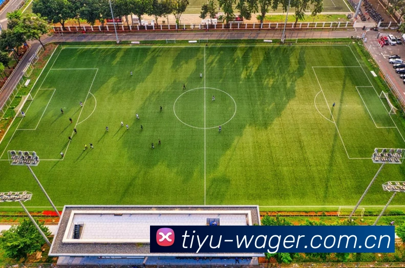 2026世界杯，激情碰撞，精彩瞬间，中国球迷的狂欢盛宴，不容错过，一触即发